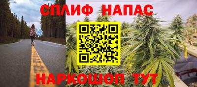 гидропоника Гусев